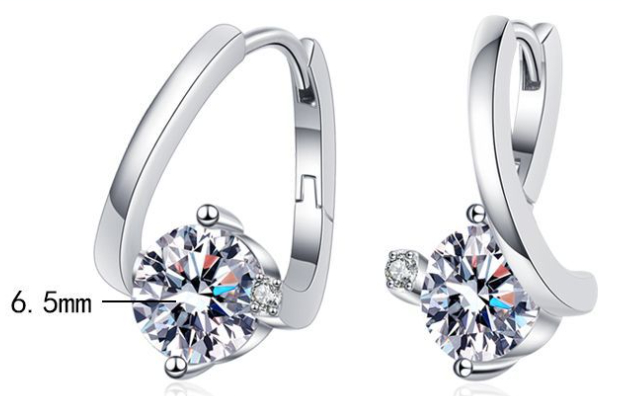 Earrings on Model