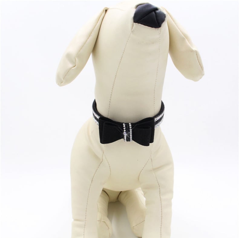 Pet Walking with Collar