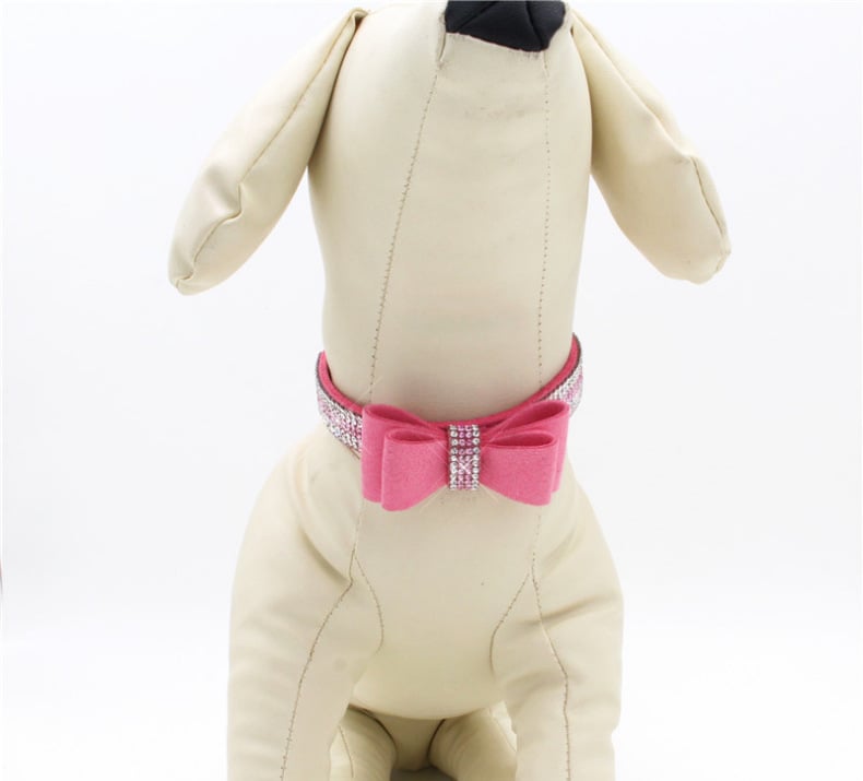 Dog Collar and Leash Variations