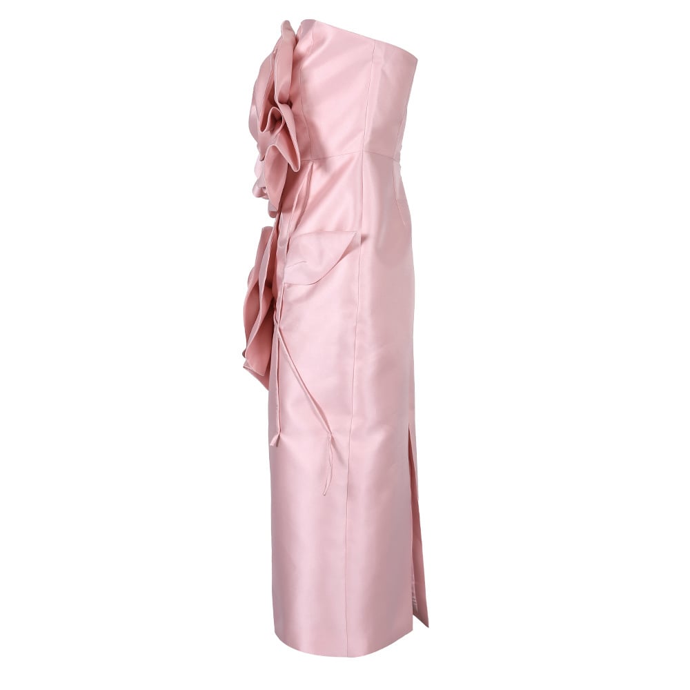 Model in Elegant Dress