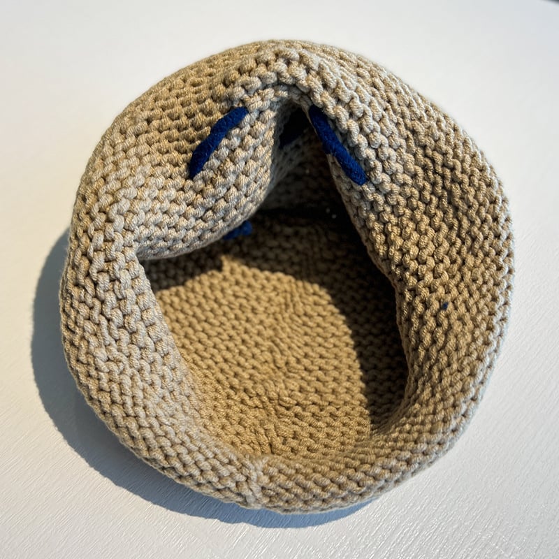 Cute Cat Ears Woolen Cap - Image 4