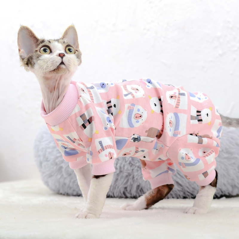 Cute Cat Outfit