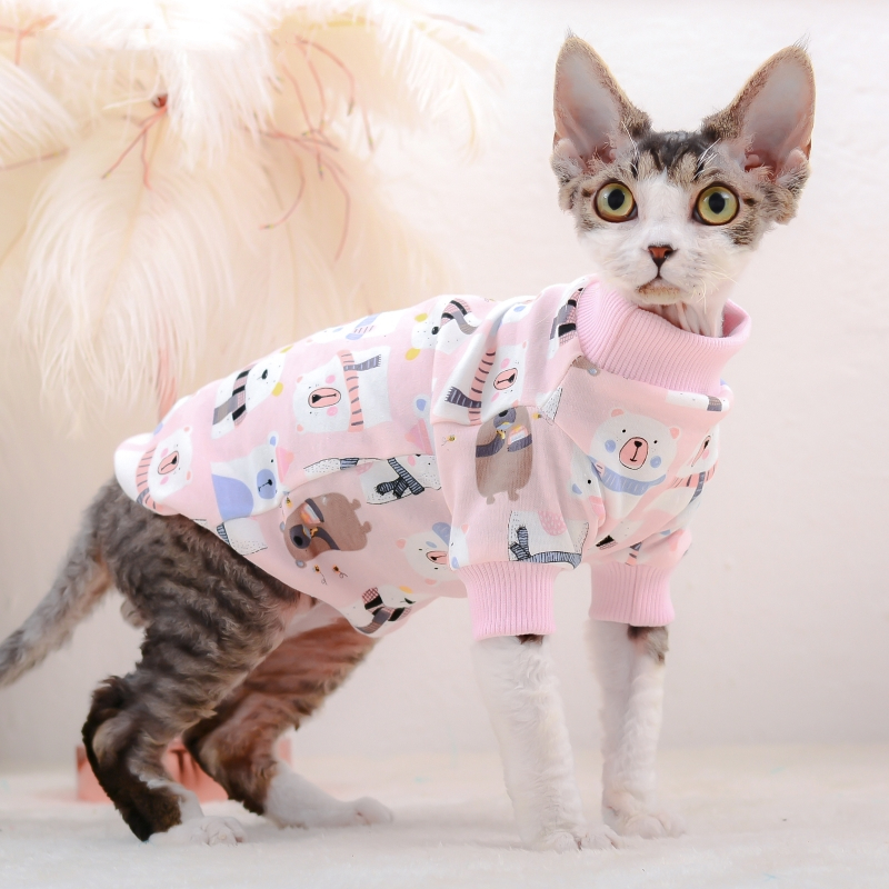 Hairless Cat in Clothing