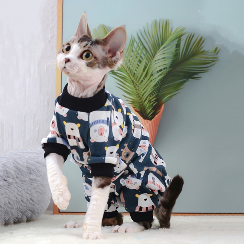 Adorable Cat Outfit