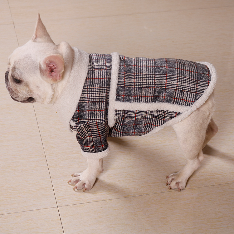 Stylish Pet Coat