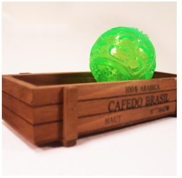 Puppy Chewing Thorn Ball