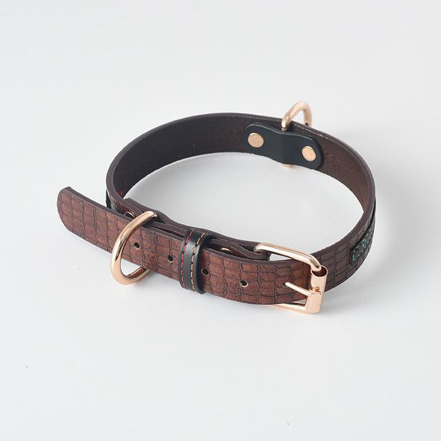 Comfortable Labrador Gold Collar