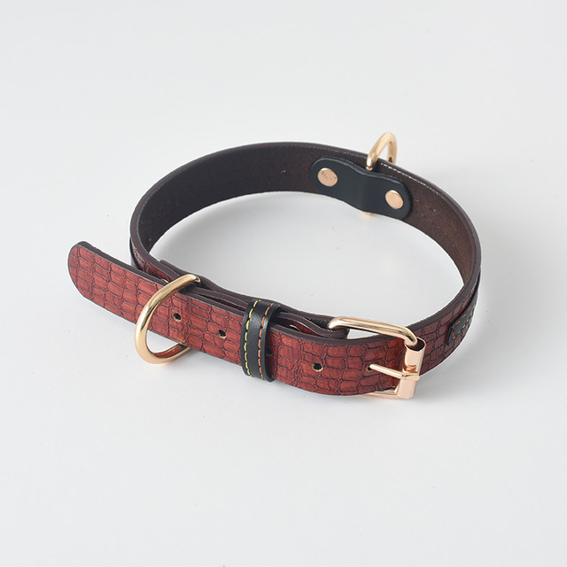 Labrador Gold Collar in Action