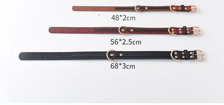 Labrador Gold Collar