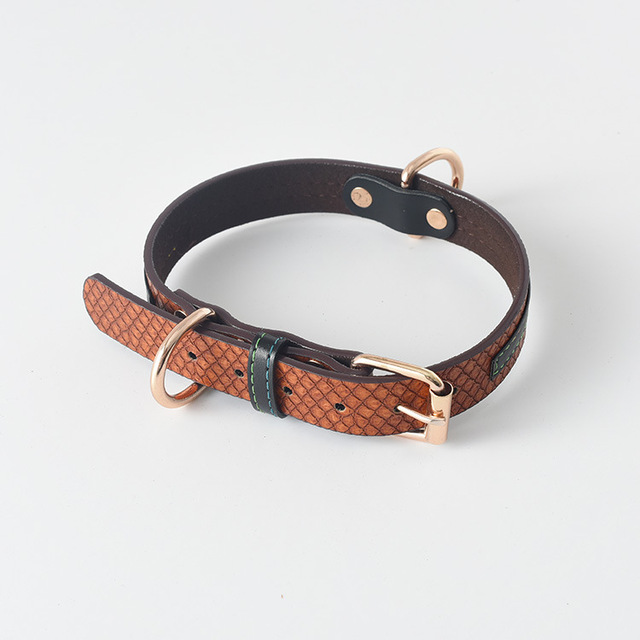 Stylish Labrador Gold Collar