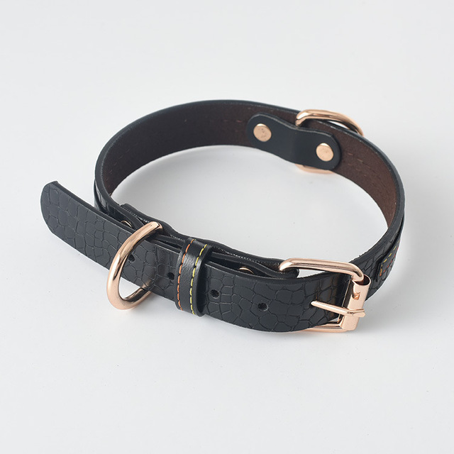 Labrador Gold Collar for Large Dogs