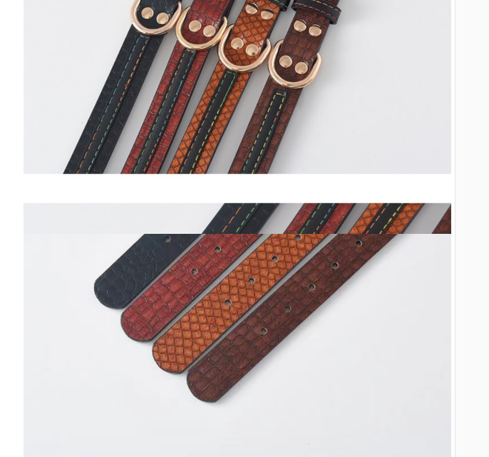 Labrador Gold Collar in Different Colors