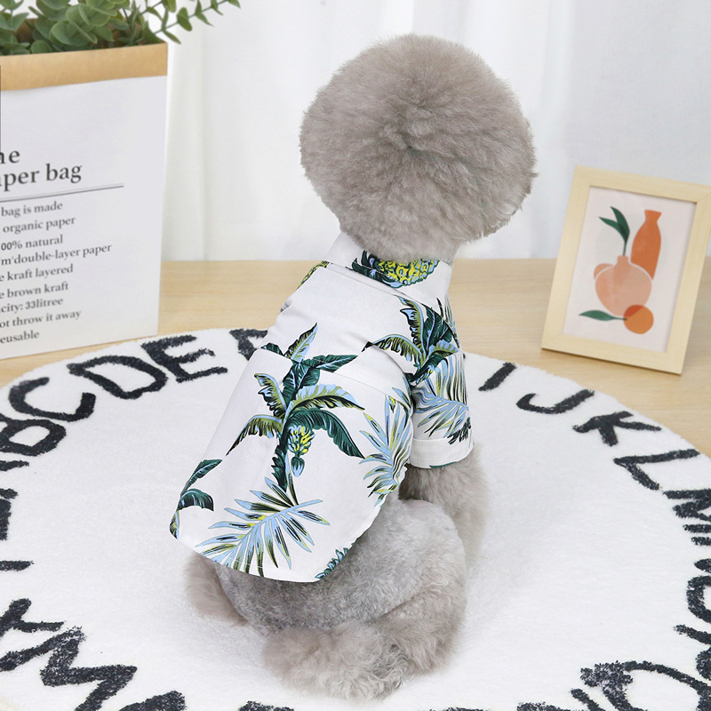 Pet Clothes Image 2