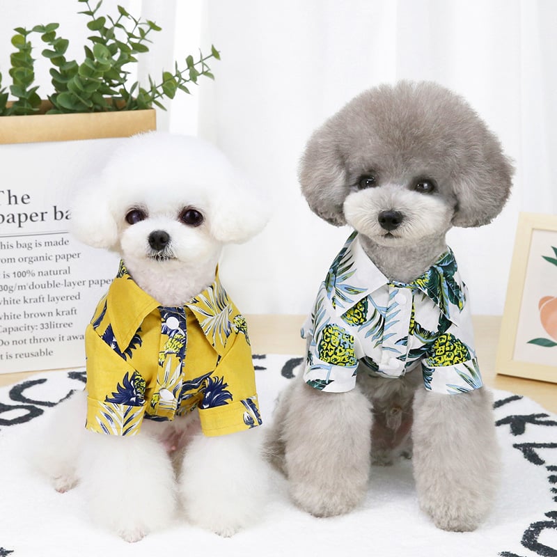 Pet Clothes Image 7
