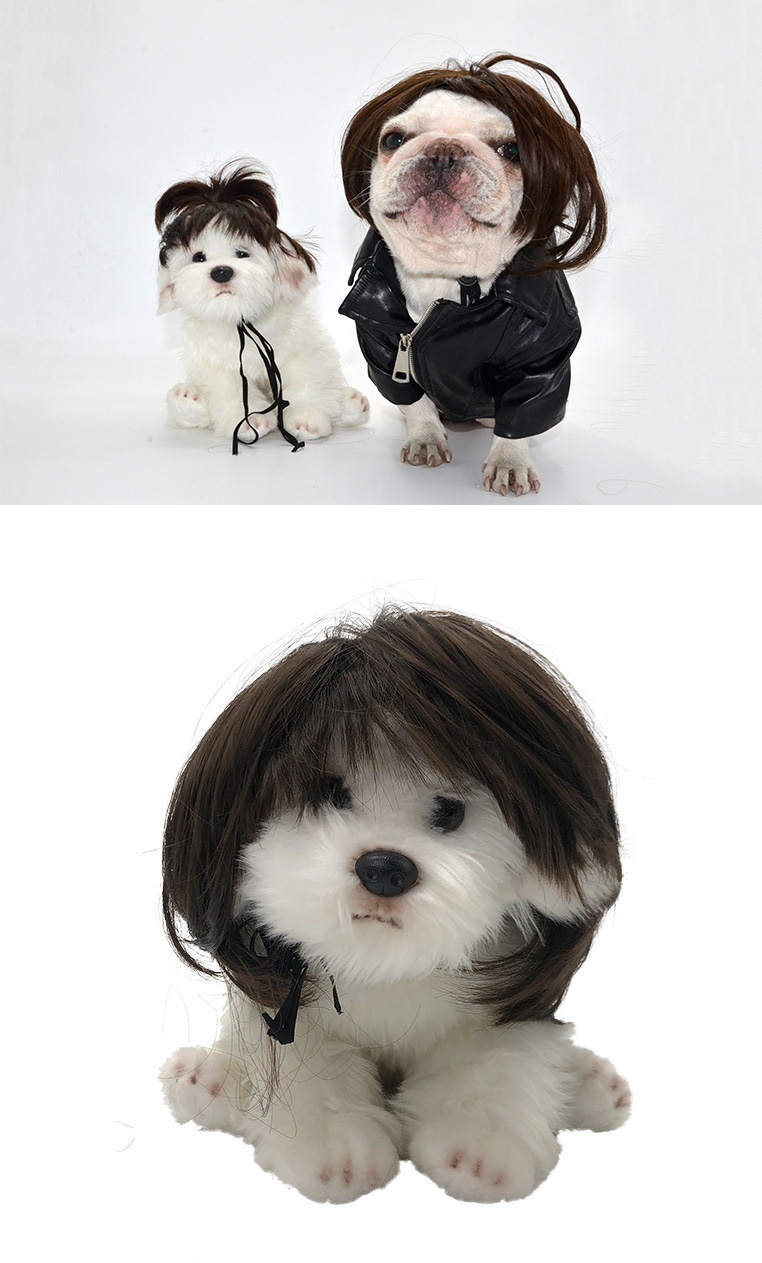 Cat Wig for Festivals