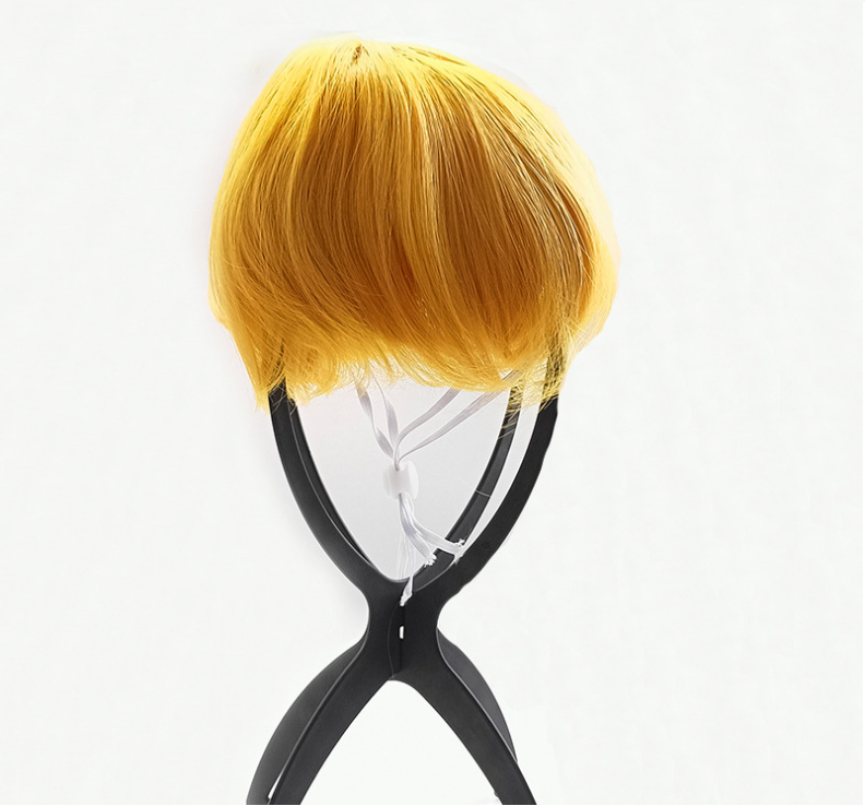 Cat Wig for All Occasions