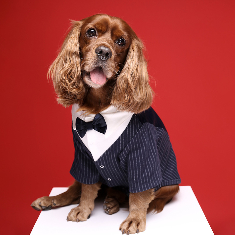 Stylish Dog Suit Dress