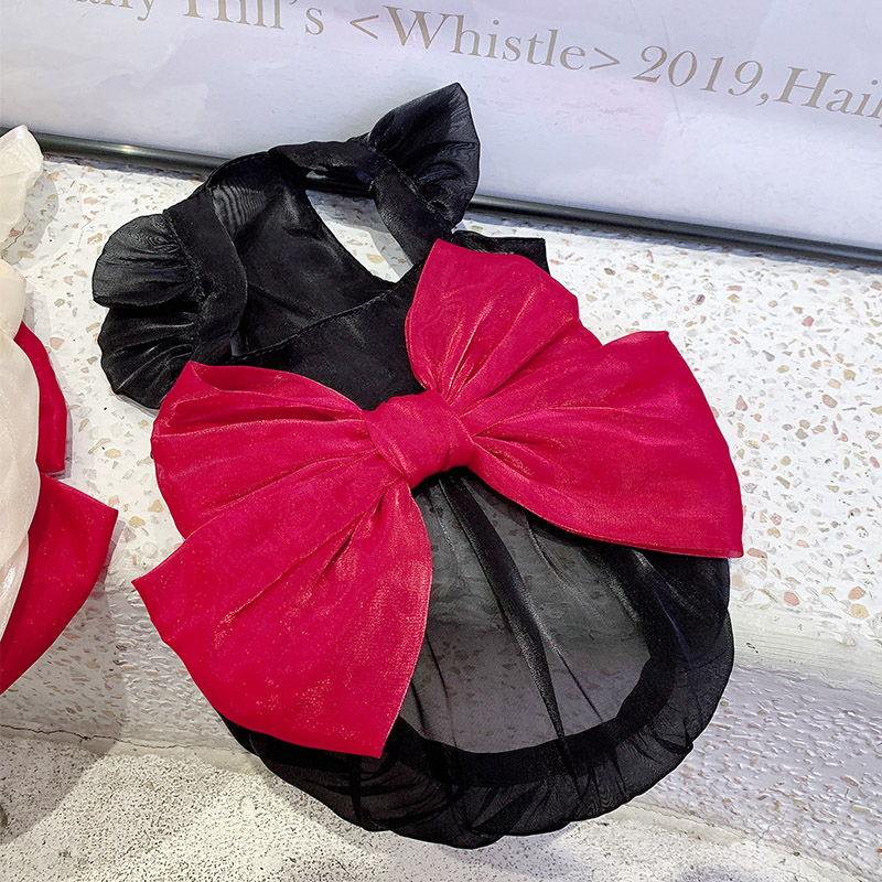 Adorable pet in Streamer Skirt