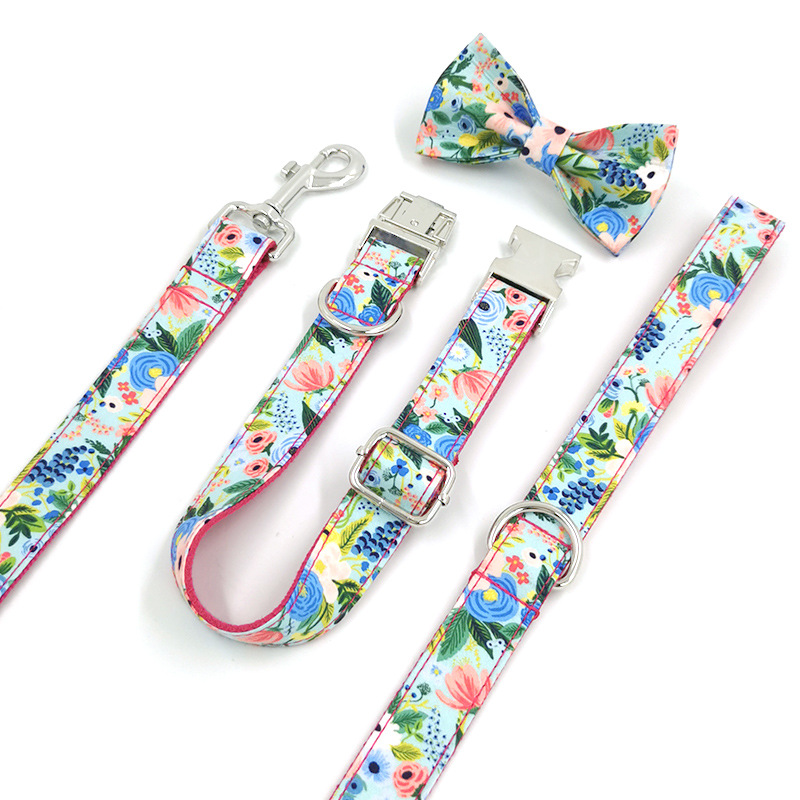 Leash and Collar Set