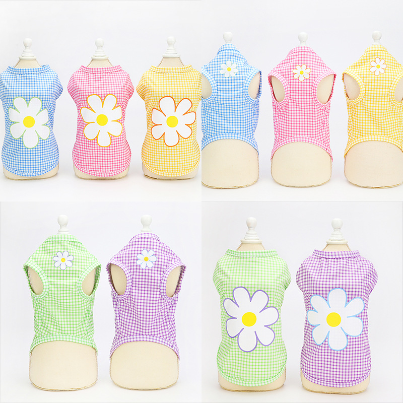 Happy Puppy in Costume