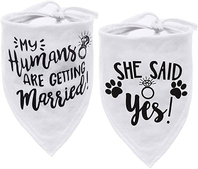 Pet Scarf Style B