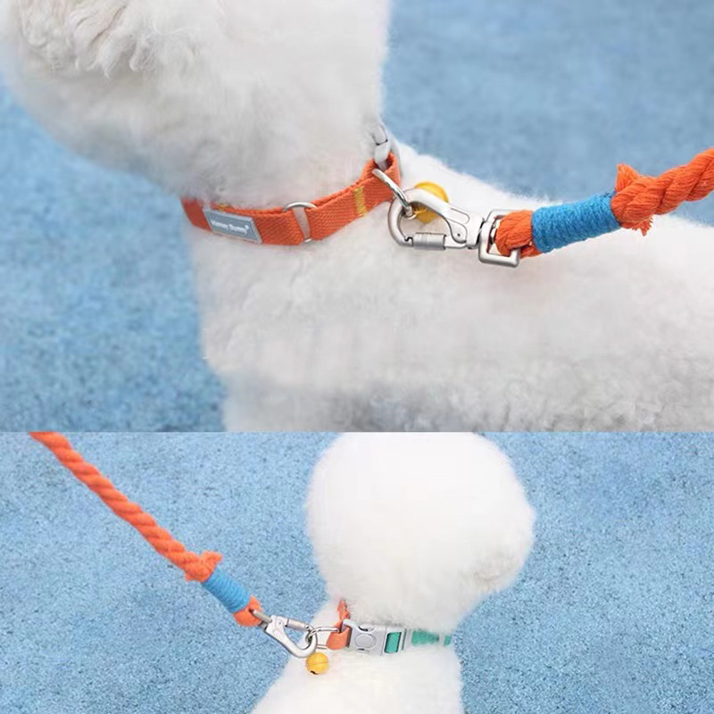 Dog Traction Rope in Use