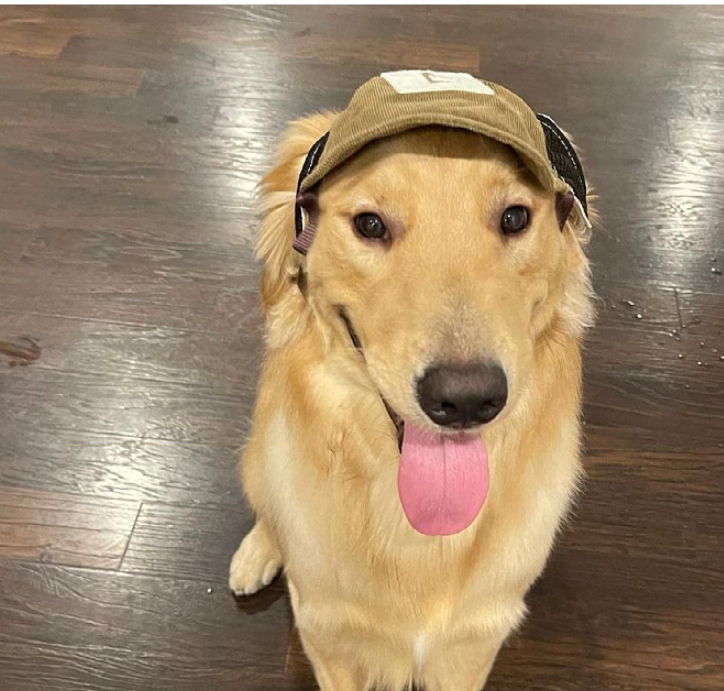 Pet Hat with Sun Protection