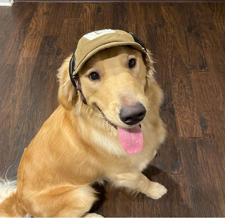 Fashionable Pet Hat
