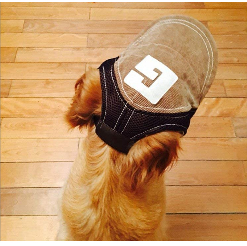 Stylish Dog Hat