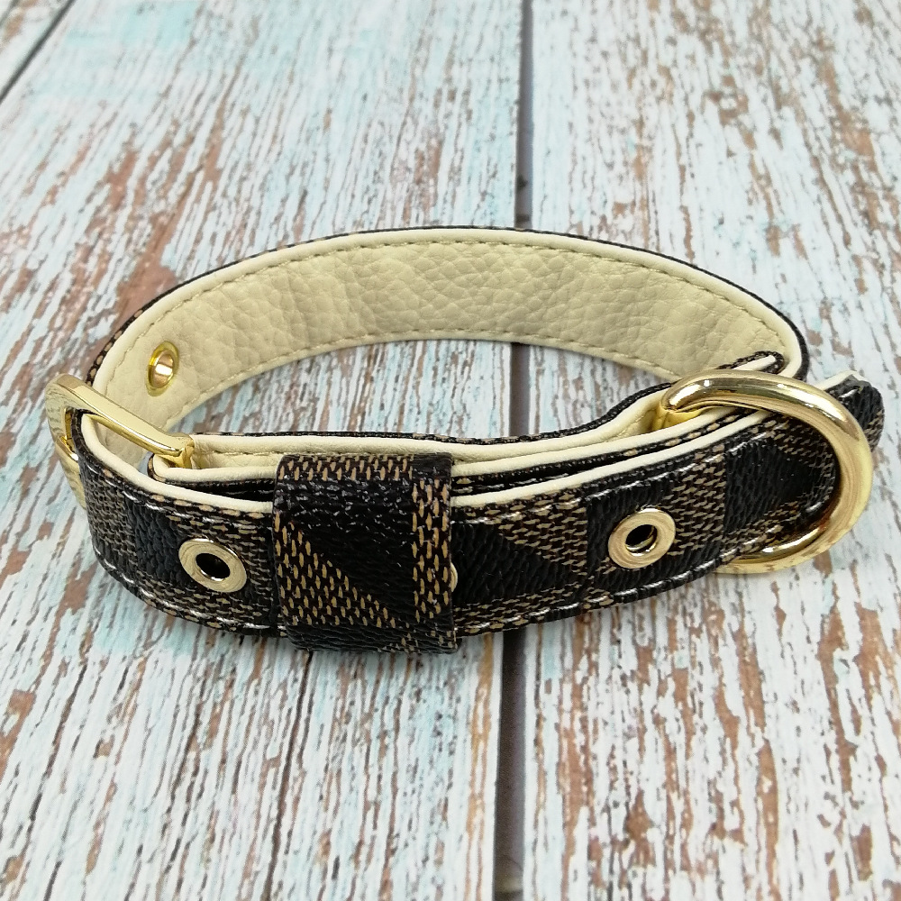 Collar on Dog