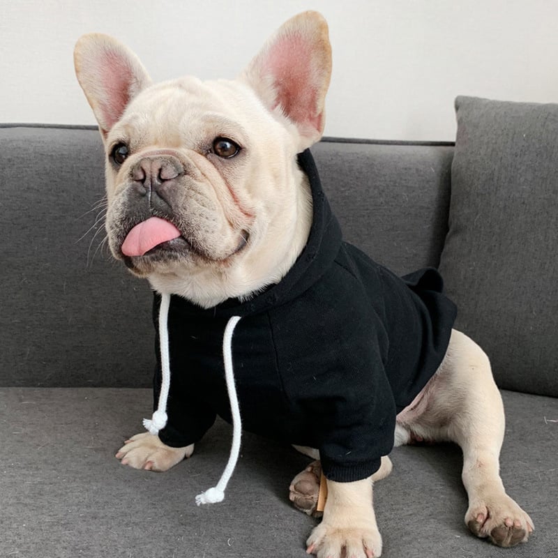Dog Sweater Collection