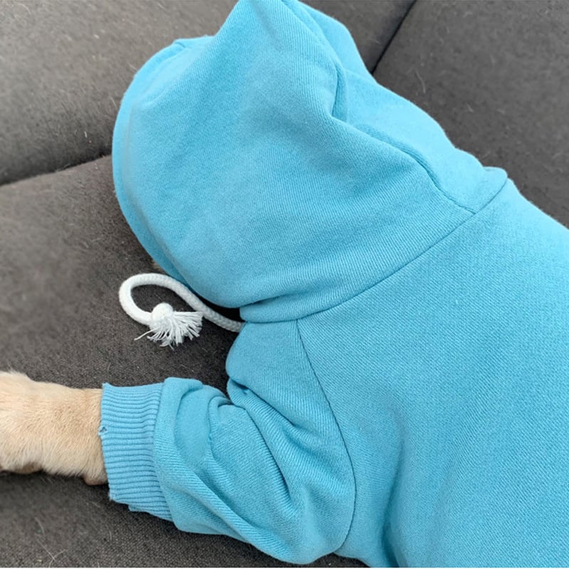 Stylish Dog Sweater