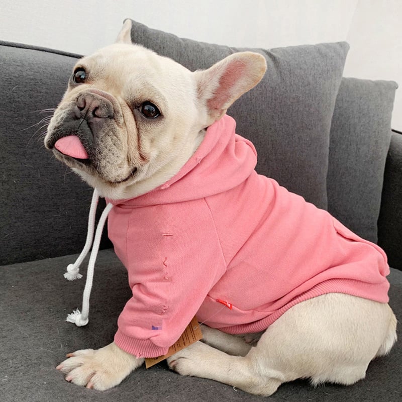 Hooded Sweater for Dogs