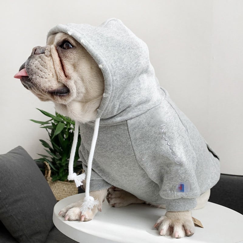 Cozy Fleece Sweater
