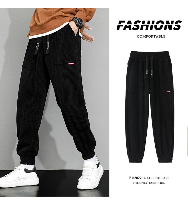 Casual Wear Pants - Light Gray