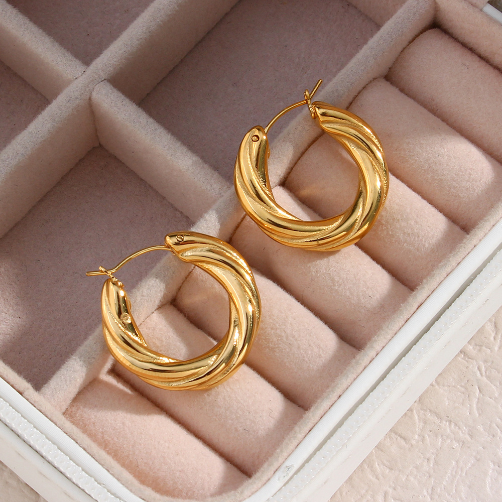 Denisse Twisted Hoop Earrings Image 2
