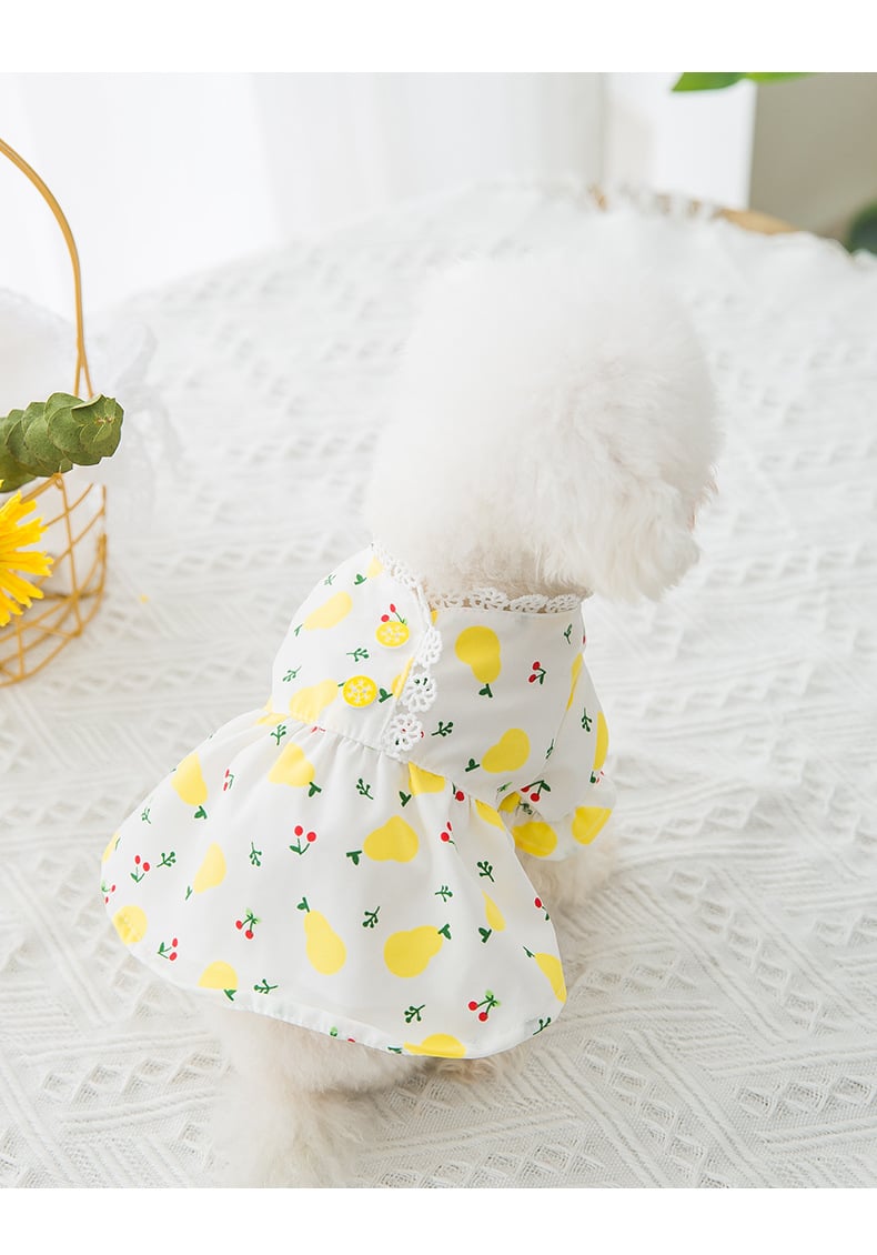 Comfortable Pet Skirt