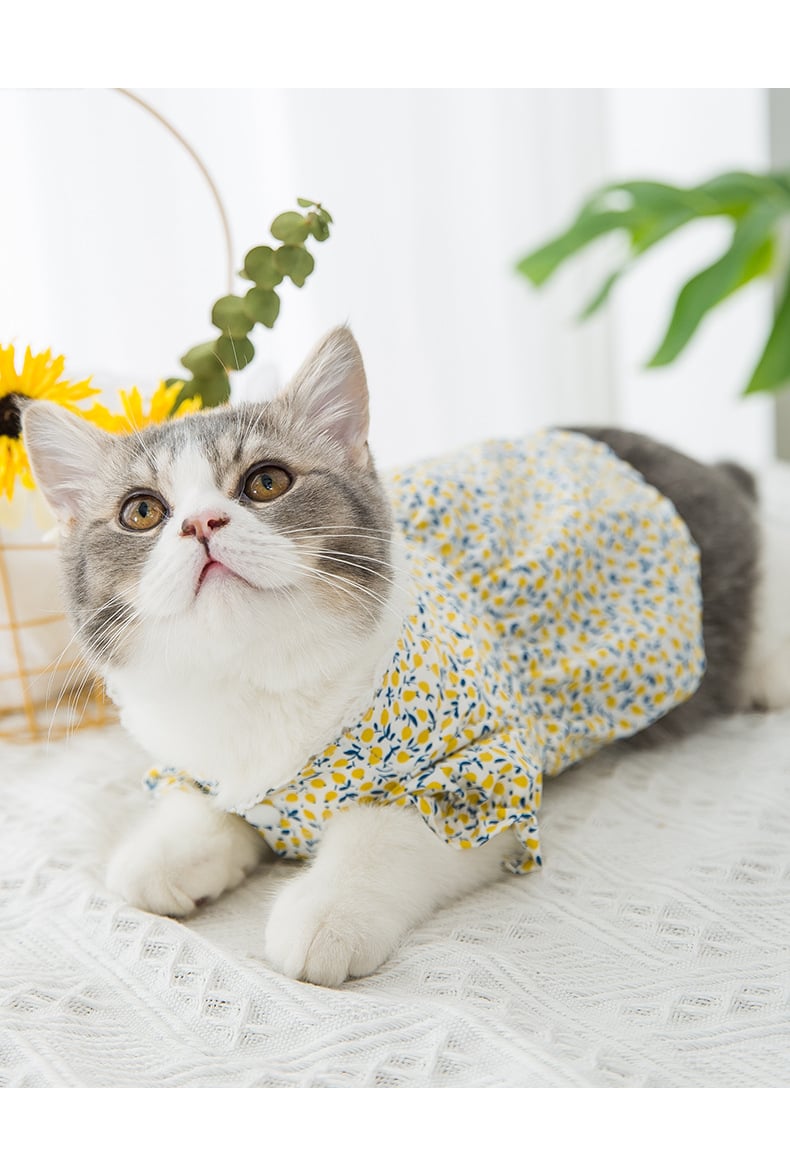 Floral Design Pet Skirt