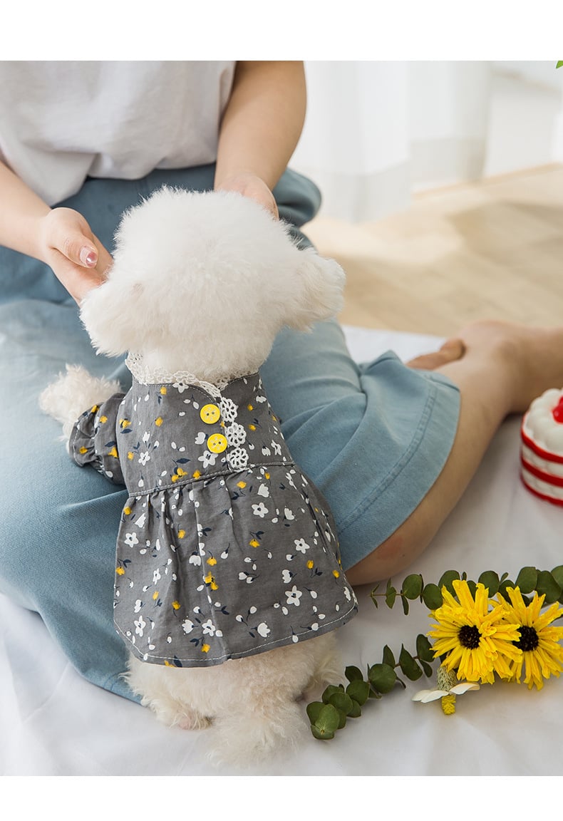 Pet Skirt Design