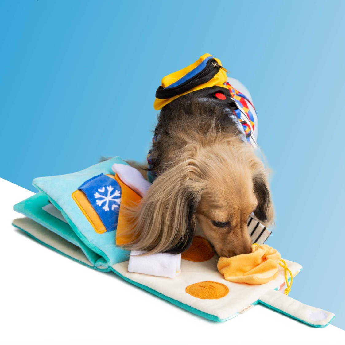 Dog Puzzle Toy Image 3