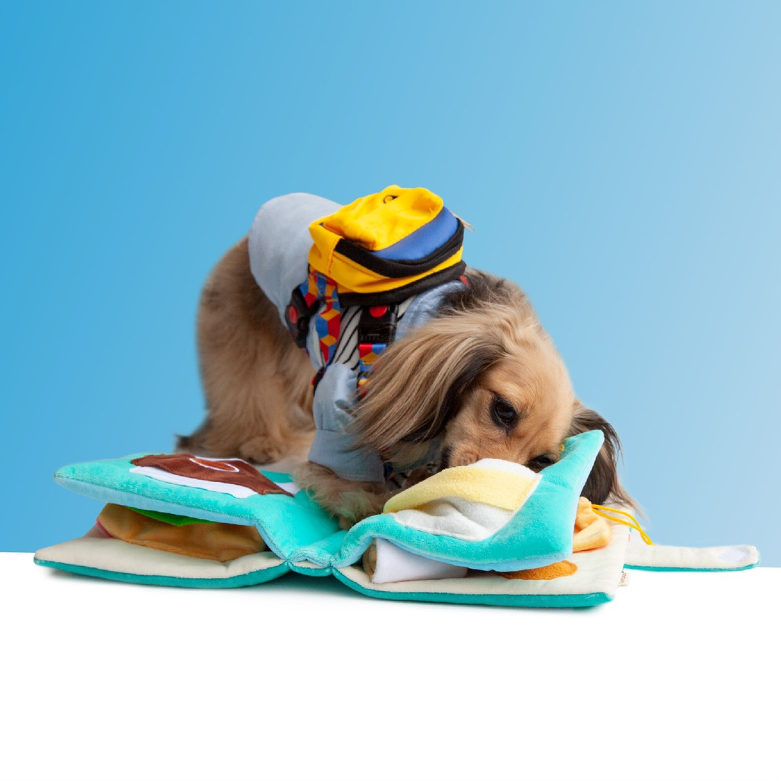 Dog Puzzle Toy Image 2