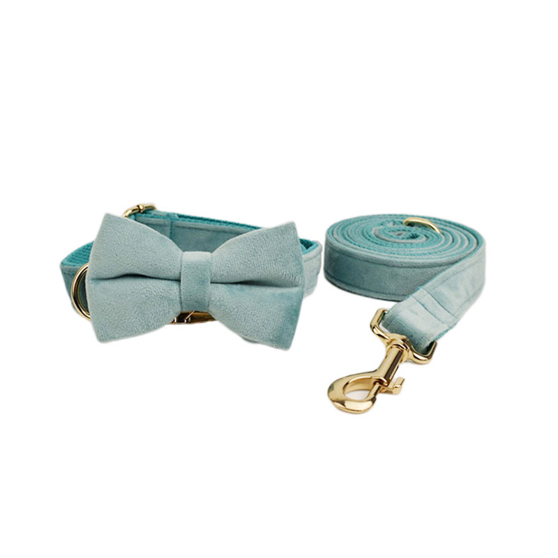 Pet Collar Style 10