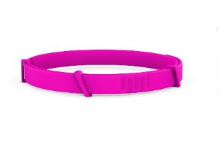Anti-flea Collar Image 1