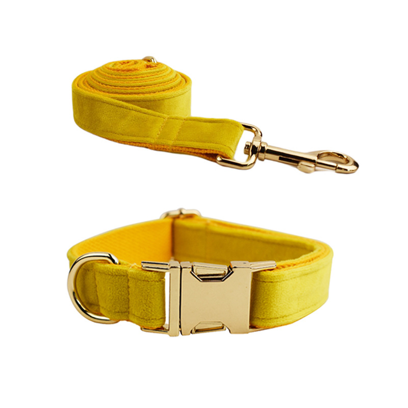 Dog Collar and Rope Set