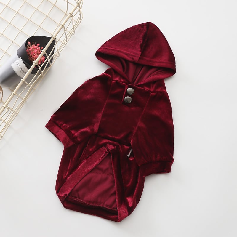 Cozy Dog Sweater