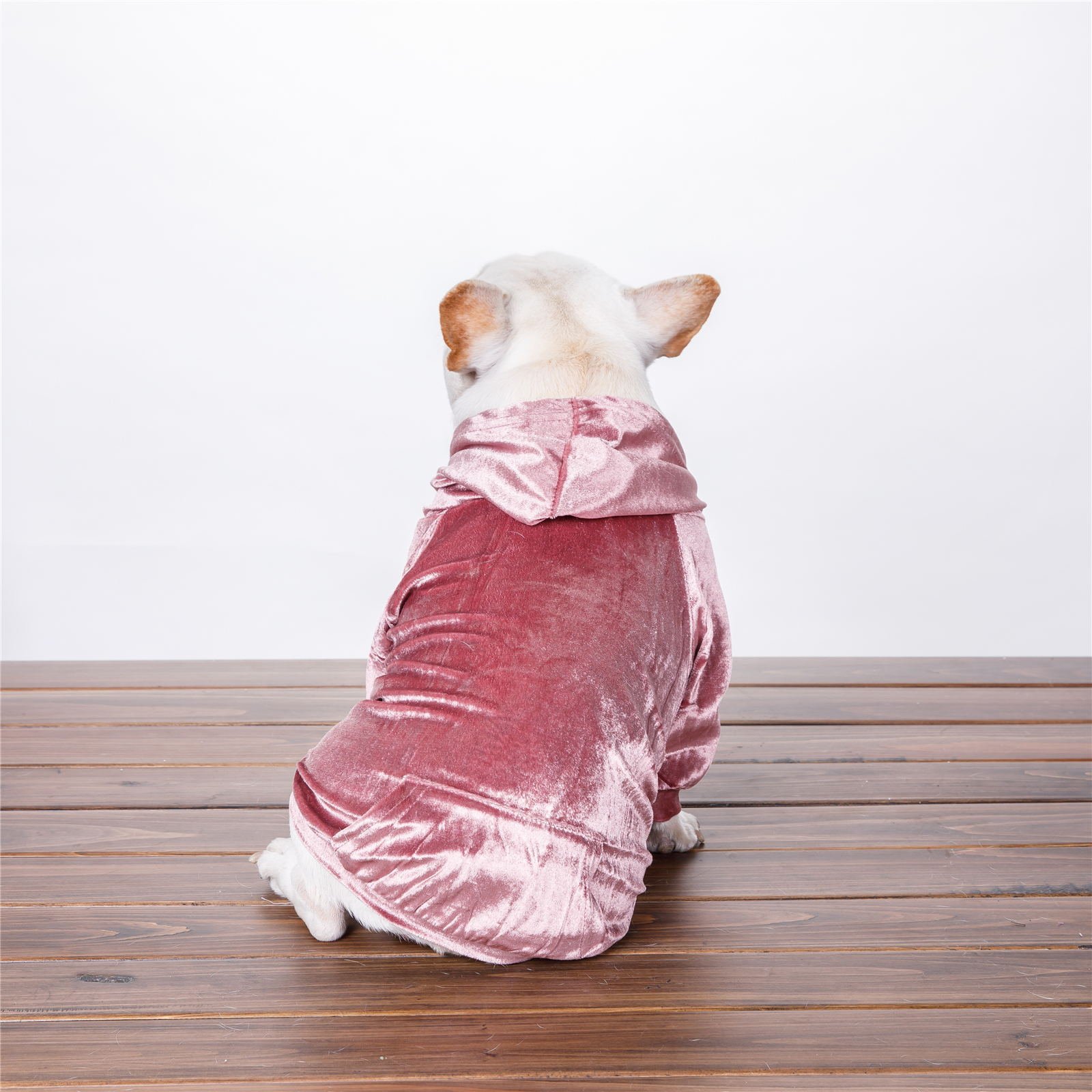 Stylish Pet Sweater