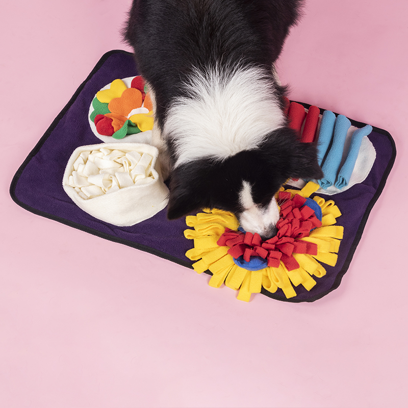 Fun and Engaging for Dogs