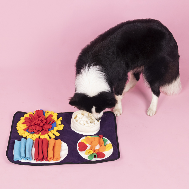 Stylish Design for Dogs