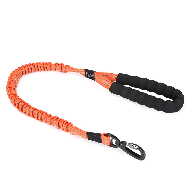 Dog Elastic Traction Rope in use