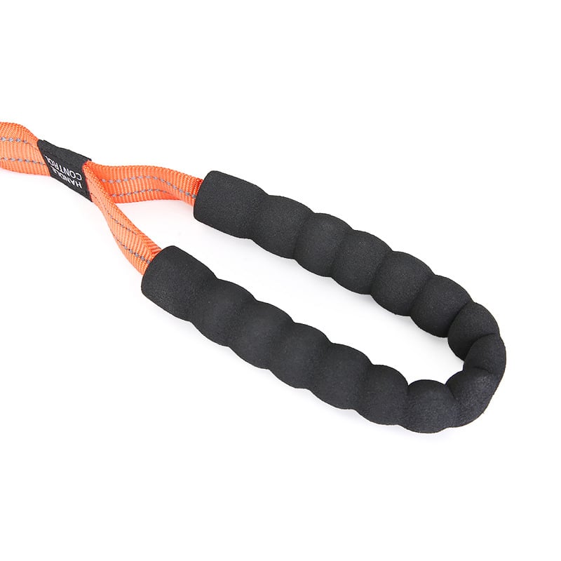 Dog Elastic Traction Rope close-up